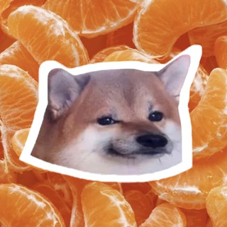 Telegram profile photo for Dnipro memes