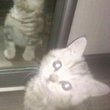 Telegram profile photo for душевное состояние