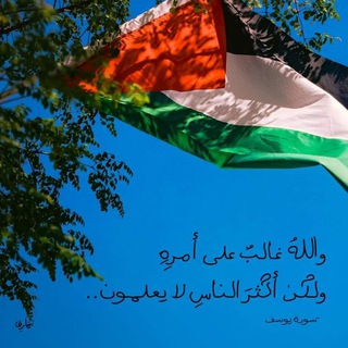 Telegram profile photo for هُدًىٰ وشِفَاءْ.