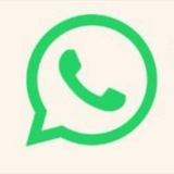 Telegram profile photo for ws
