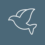 Telegram profile photo for МГО «Міжнародне об’єднання «Народний адвокат»