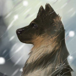 Telegram profile photo for Немчарка