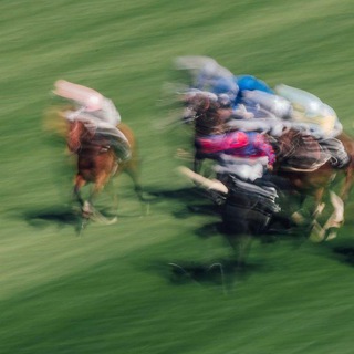 Telegram profile photo for INFERNAL horse racing скачки