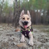 Telegram profile photo for Отзывы конкурсов от 𝐕𝐄𝐎.𝐇𝐀𝐍𝐓𝐈🐾