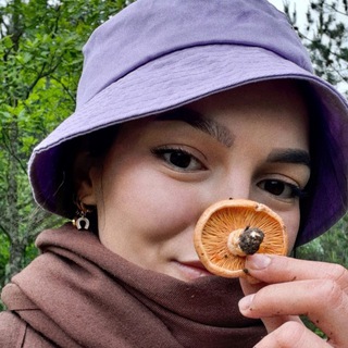 Telegram profile photo for Köyde Yaşam