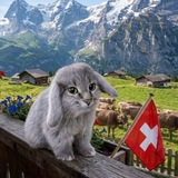 Telegram profile photo for Отзывы Ali4Ka