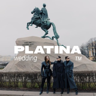 Telegram profile photo for Platinовый канал