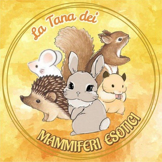 Telegram profile photo for La Tana dei Mammiferi Esotici 🐿️