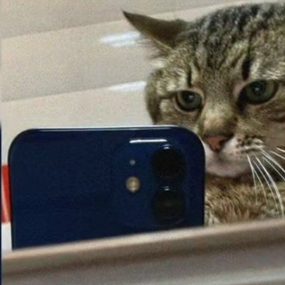 Telegram profile photo for Жизненные мемы☠️