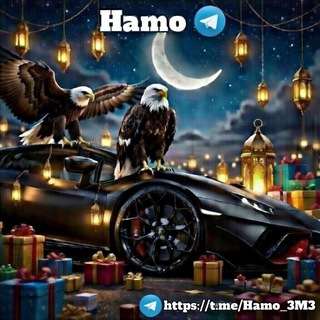 Telegram profile photo for ⚜️ نت مجاني مصر | Chat ⚜️