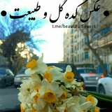 Telegram profile photo for عکس کده گل و طبیعت
