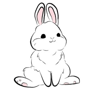 Telegram profile photo for 兔子洞机场频道