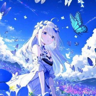 Telegram profile photo for Bot Support | Quntic Network