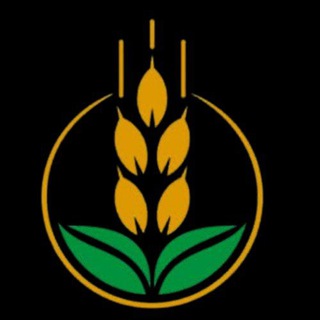 Telegram group profile photo for Yojana Update