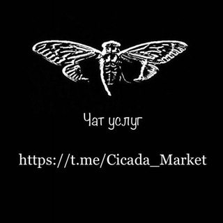 Telegram profile photo for Cicada | Чат услуг