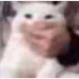 Telegram profile photo for ๐จ๐ก๐๐ข๐ก๐ฆ || ๏นซ๐
๐๐๐บ๐๐ ๐๐๐๐๐๐๐๐๐