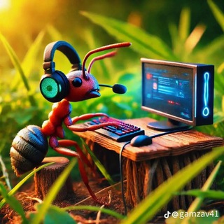 Telegram profile photo for CFG Skvizzi