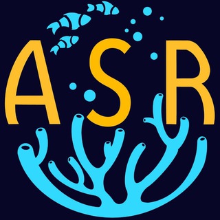 Telegram profile photo for Aleksey S reef