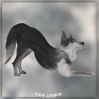 Telegram profile photo for хвост пистолетом🐺