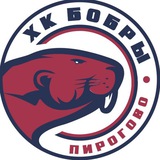 Telegram profile photo for БОБРЫ 2018