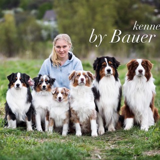 Telegram profile photo for Питомник by Bauer