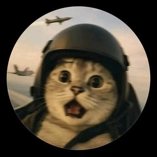 Telegram profile photo for Memes | News | Videos | Funny | Intresting Facts | 🌱