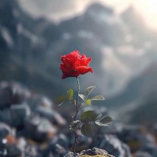 Telegram profile photo for الامل