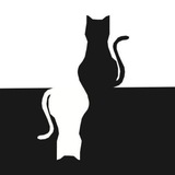 Telegram profile photo for 【CAT77】测速图