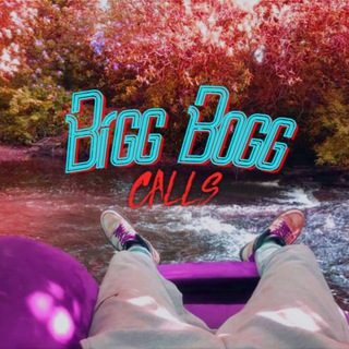 Telegram profile photo for Bigg Bogg Calls