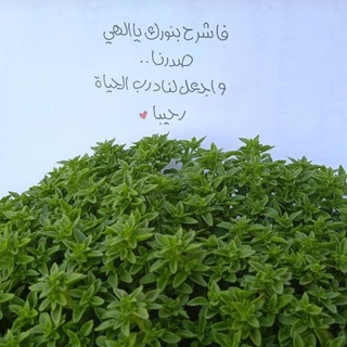 Telegram profile photo for سَكِينَةٌ 🌱