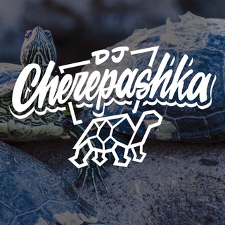 Telegram profile photo for dj cherepashka