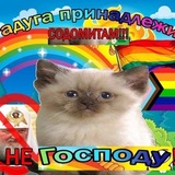 Telegram profile photo for Гомосексуальное подполье