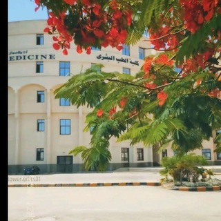 Telegram profile photo for حــ۫͜ـڪايه طُبـيبـ 💖‘