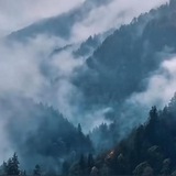 Telegram profile photo for ๐ป๐๐๐ ๐๐๐๐๐๐๐