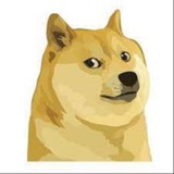 Telegram profile photo for PowDoge
