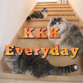 Telegram profile photo for KKK everyday ❄️☃️