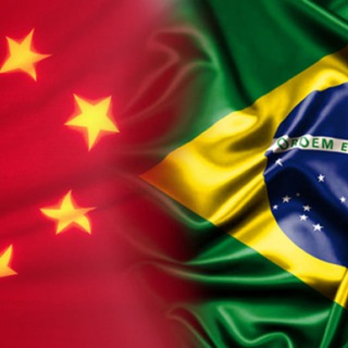Telegram profile photo for SESSÃO CHINESA BRASIL 📊