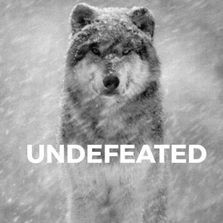Telegram profile photo for Club of the Undefeated