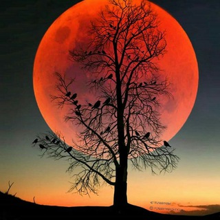 Telegram profile photo for عشق های دروغ