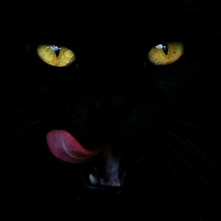 Telegram profile photo for Zabydemmmm