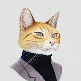 Telegram profile photo for ThanhDieu Official