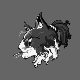 Telegram profile photo for Sphyn | Funds Management