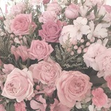 Telegram profile photo for 🌷 | sᴇᴀʀᴄʜ ᴛᴇᴀᴍ