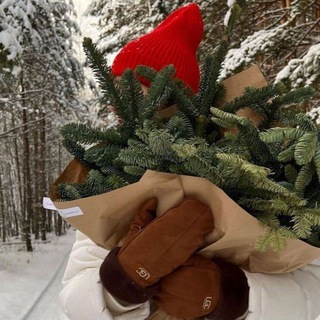 Telegram profile photo for my cozy pinterestš