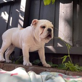 Telegram profile photo for Calie covid awareness