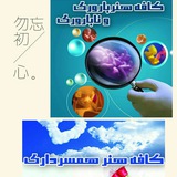 Telegram profile photo for همسرداری&بارداری