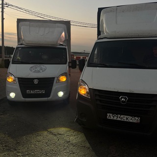 Telegram profile photo for Дармовозы НН