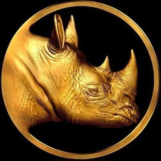 Telegram profile photo for BBC Calls and Gems 🦏