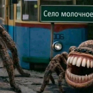 Telegram profile photo for пивной паук