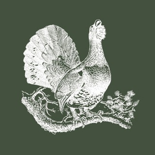 Telegram profile photo for Охотники.ру